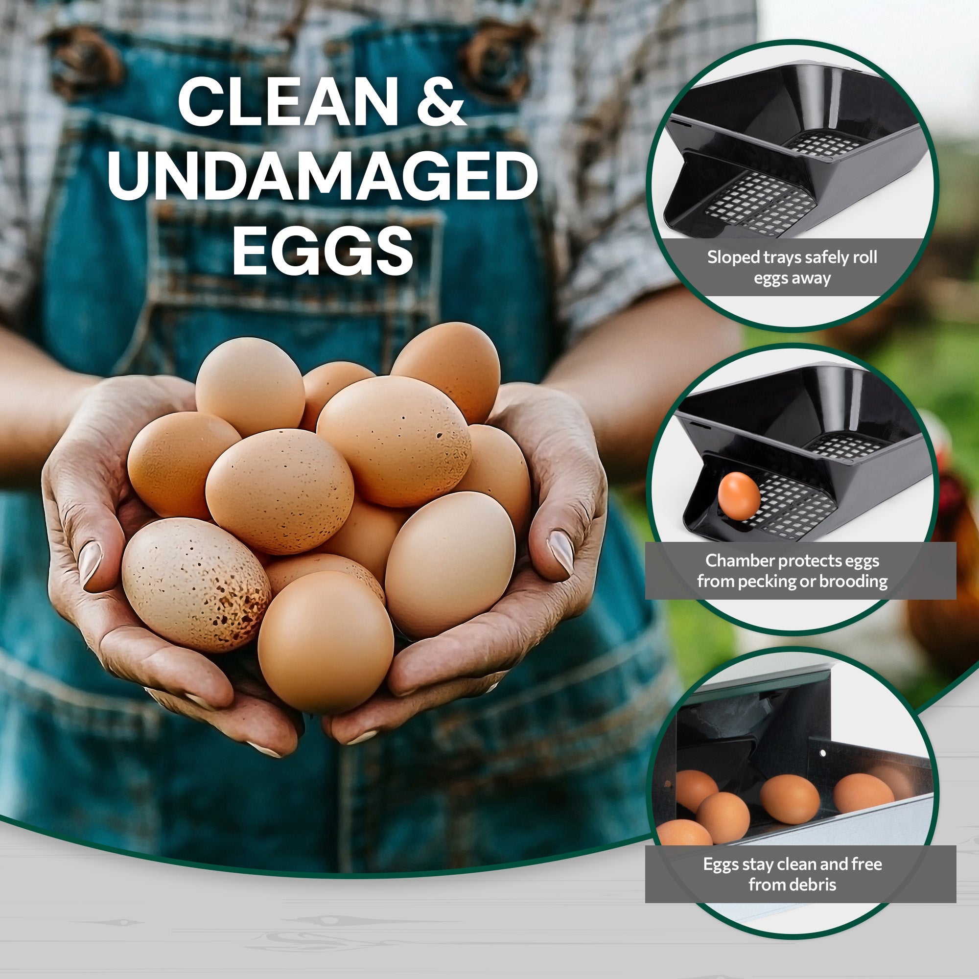 4 Compartment Pro Deluxe Chicken Nesting Box with Deluxe Trays