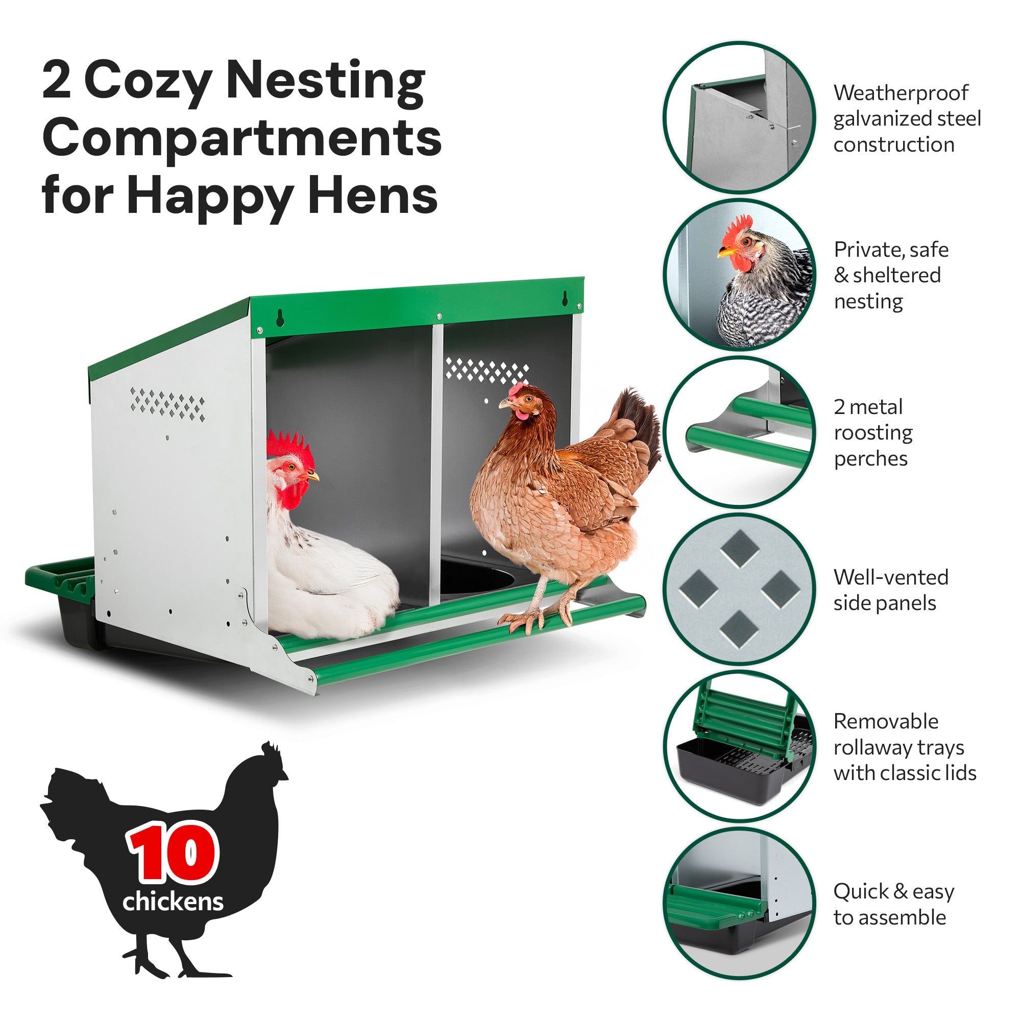 2 Compartment Reverse Roll Away/ Roll Out Chicken Nesting Box with Classic Trays/Lids & 2 Perches