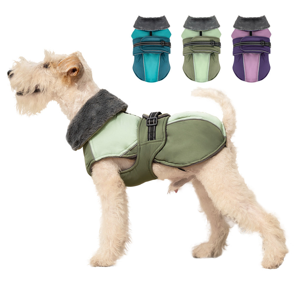 Hunting Dog - Waterproof Jacket