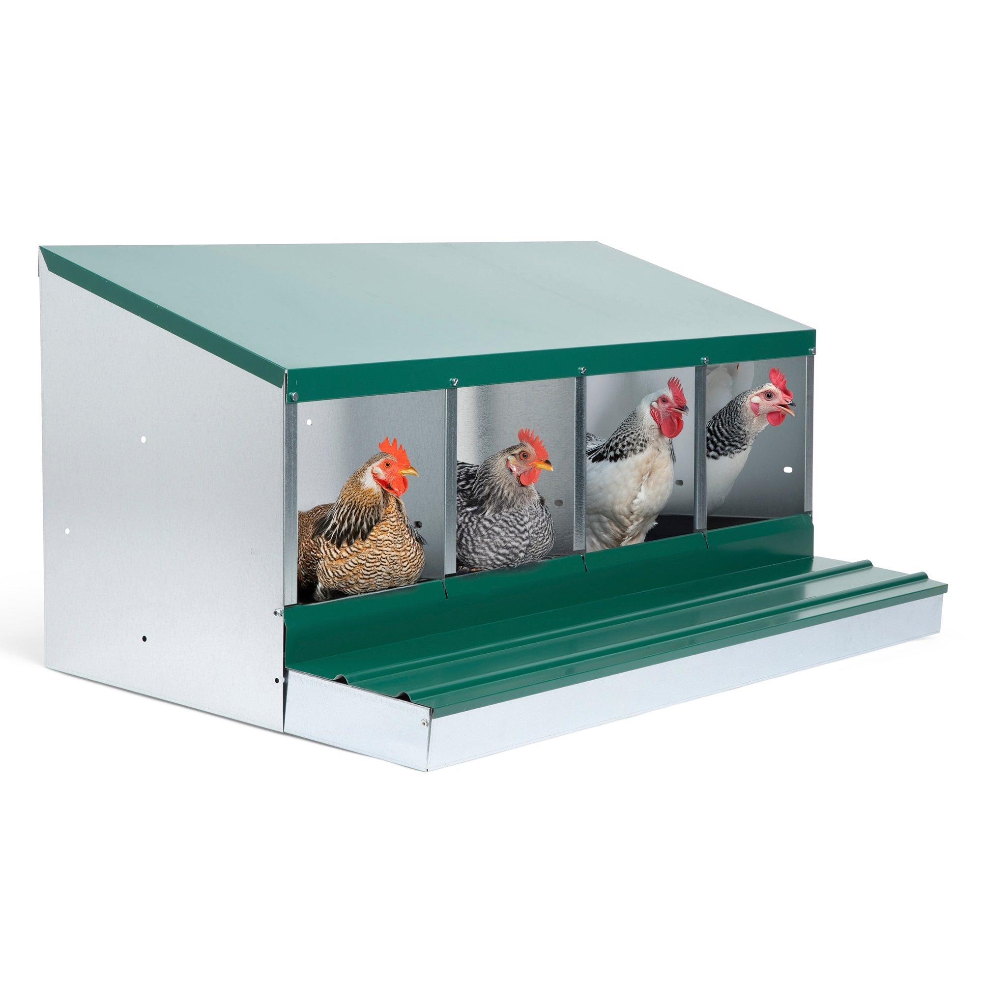 4 Compartment Pro Deluxe Chicken Nesting Box with Deluxe Trays