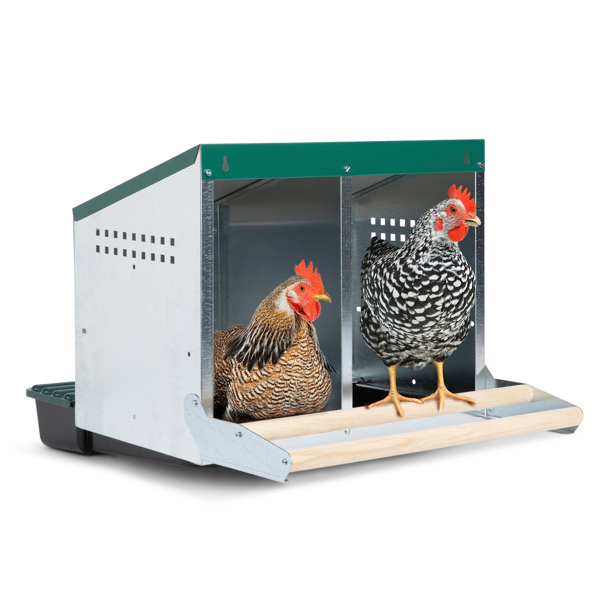 2 Compartment Reverse Roll Away/ Roll Out Chicken Nesting Box with Compact Trays/Lids & Wood Perches